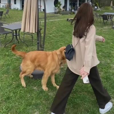 超级整蛊霸王