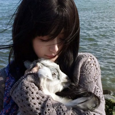 凝视猎物