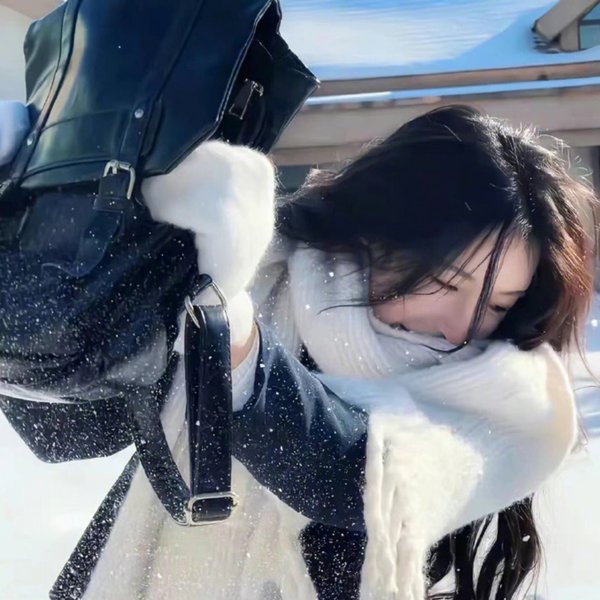比翼双飞